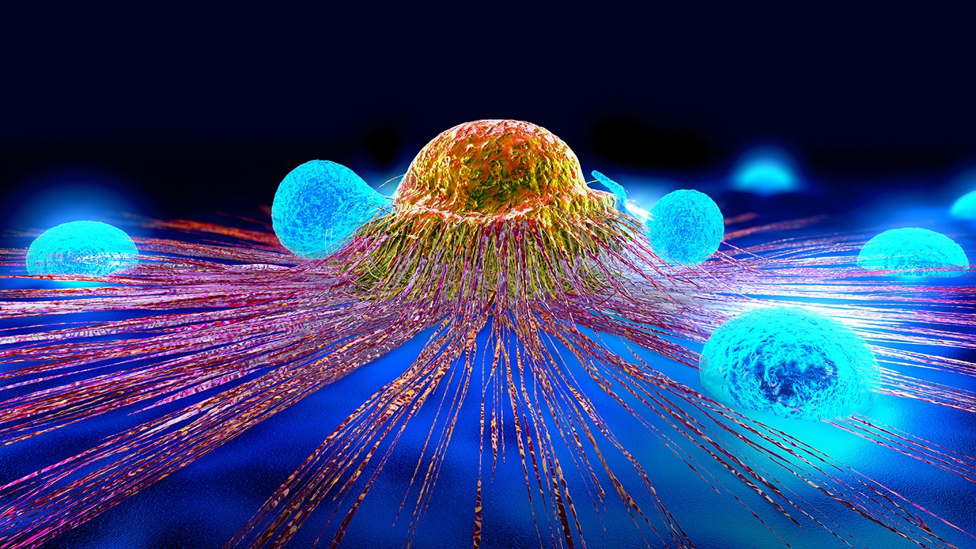 Immune cells attacking spreading cancer