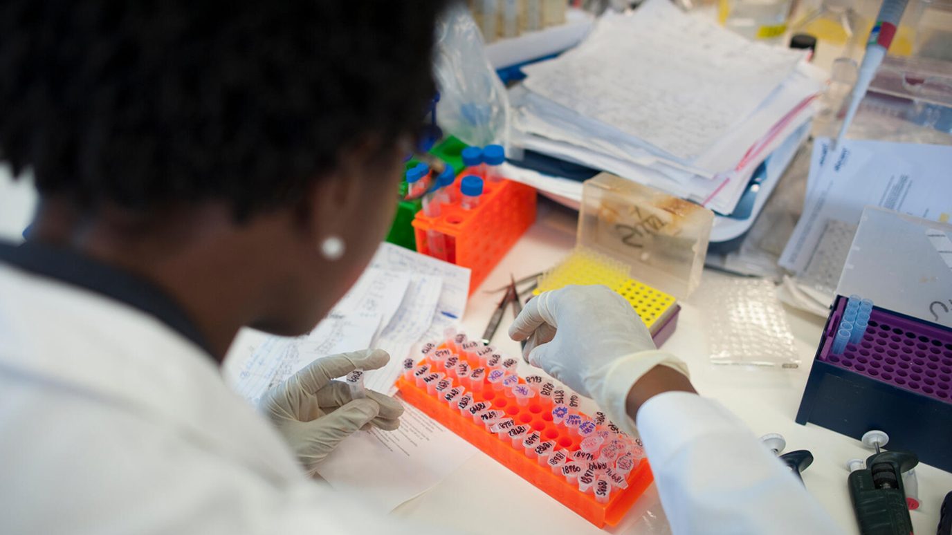 Researcher looking at test tube samples