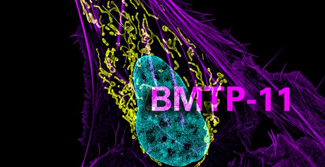BMTP-11 for osteosarcoma