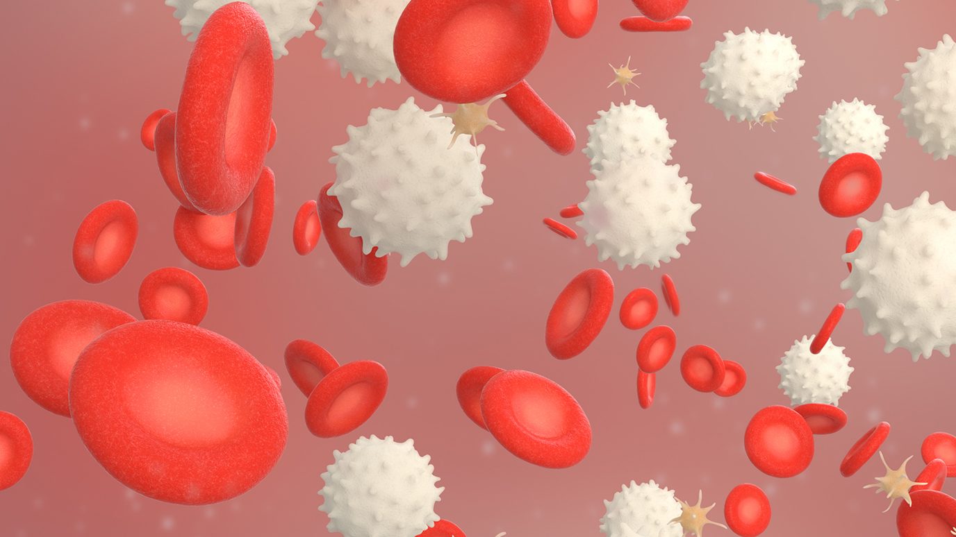 Medical illustration of different types of blood cells floating in a blood stream