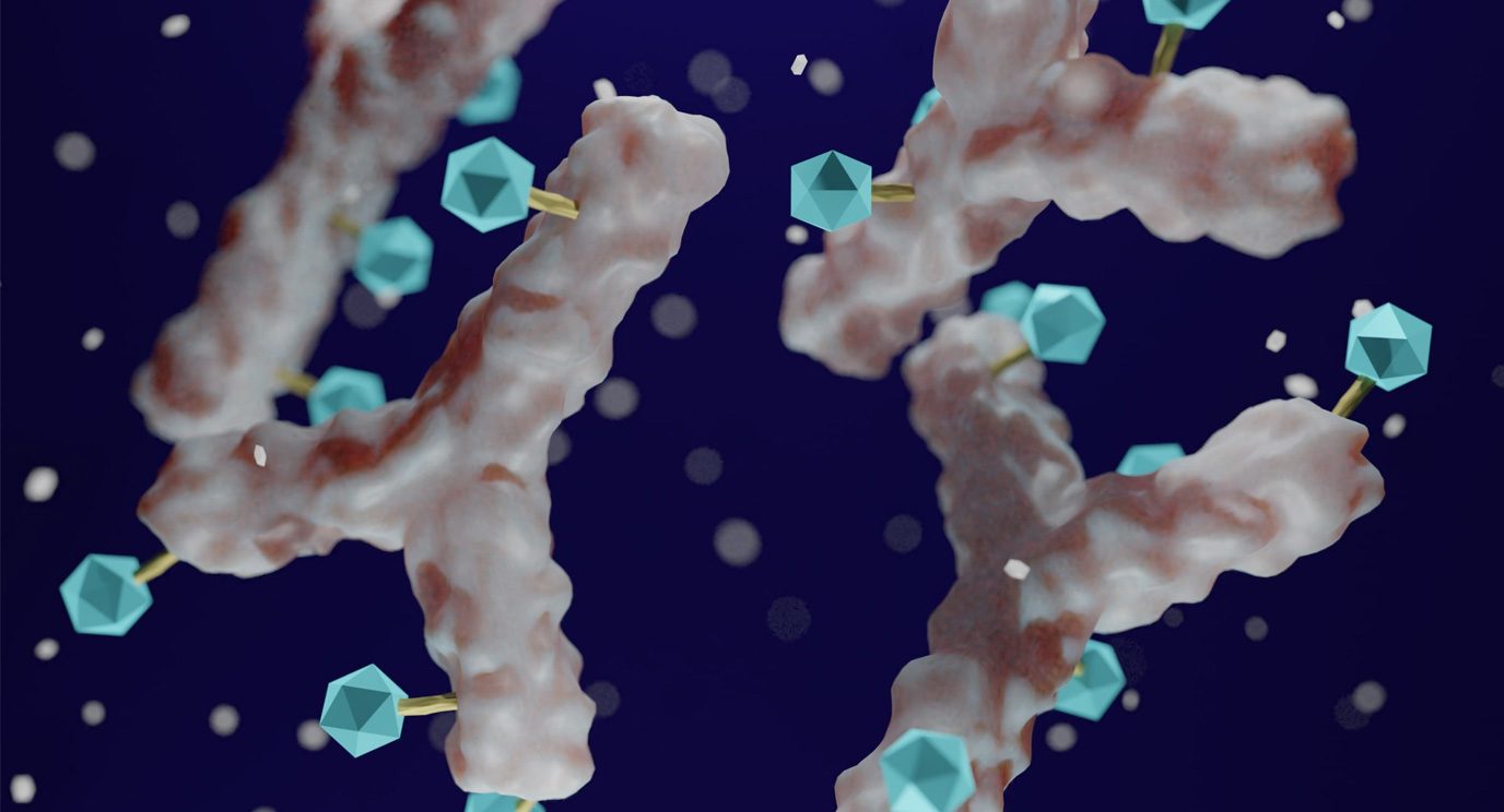 Illustration of white antibody linked with blue cytotoxic payload.