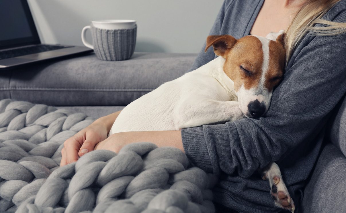 Waist-level view of a seated woman deriving comfort from a white and brown terrier sleeping on her lap