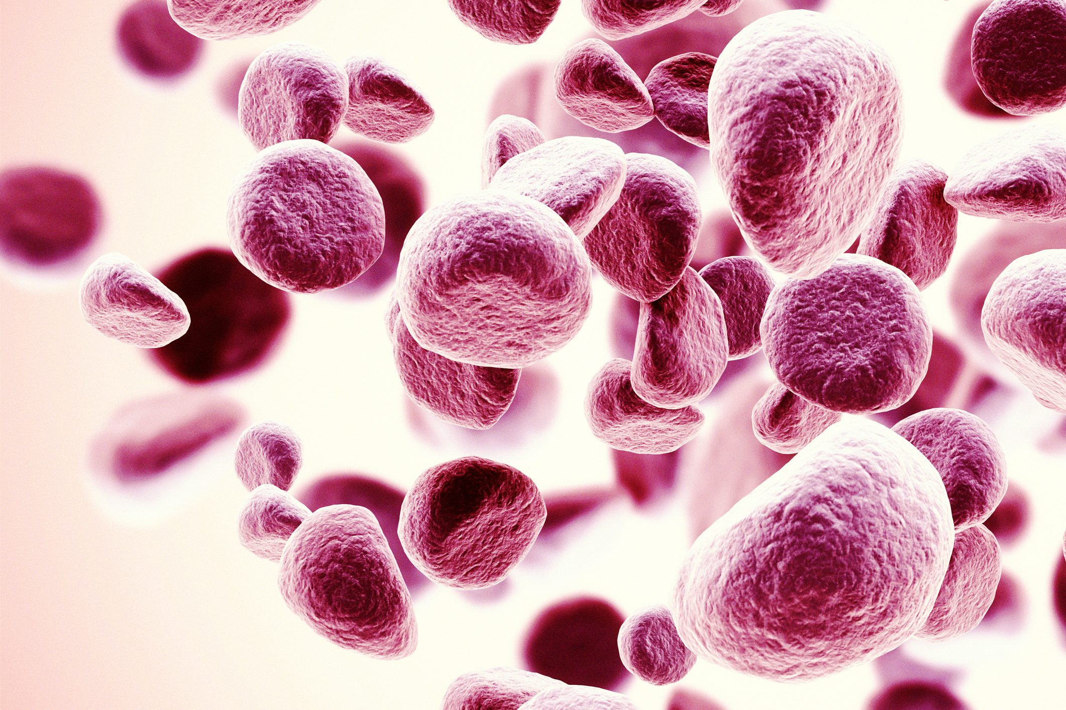 Cancerwise blog post: Multiple myeloma facts