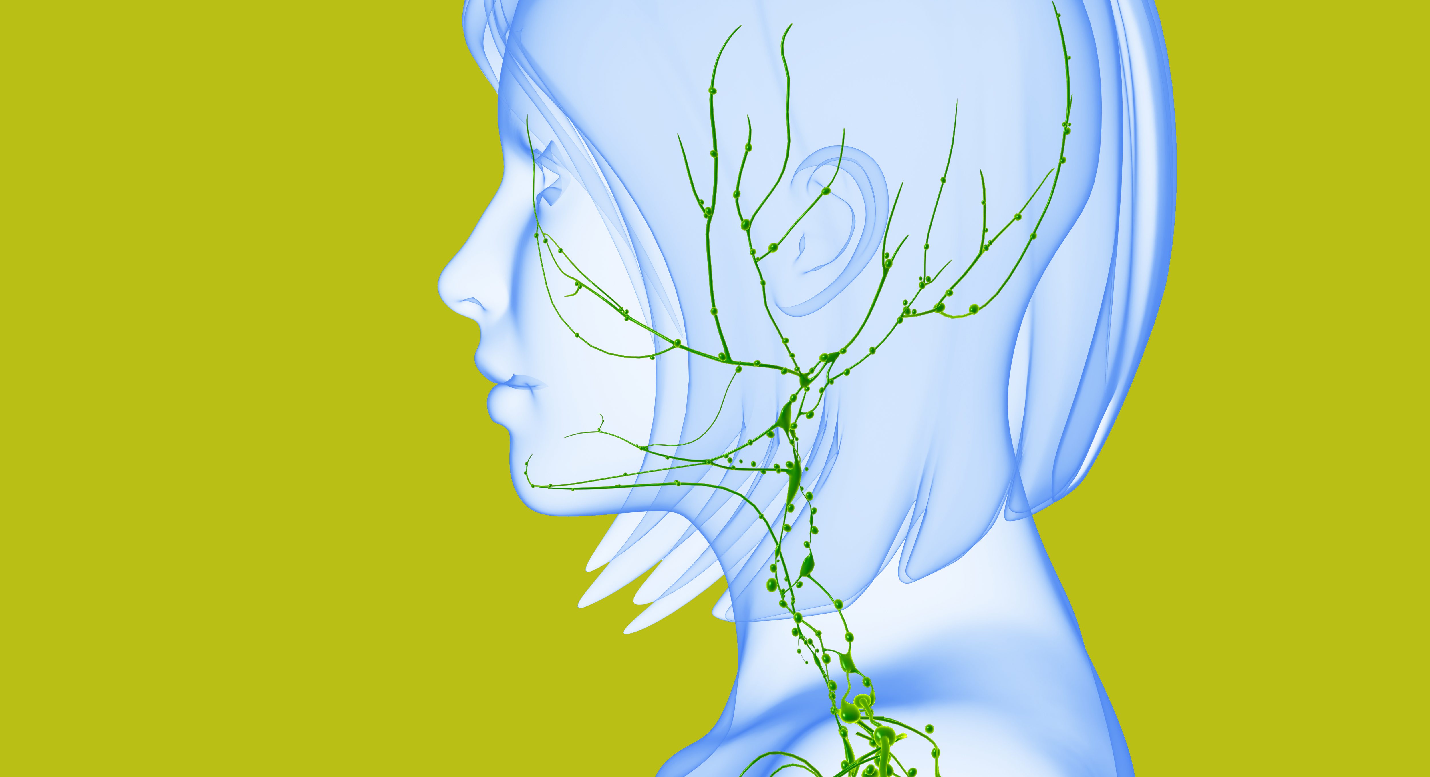 Illustration showing sentinel lymph nodes