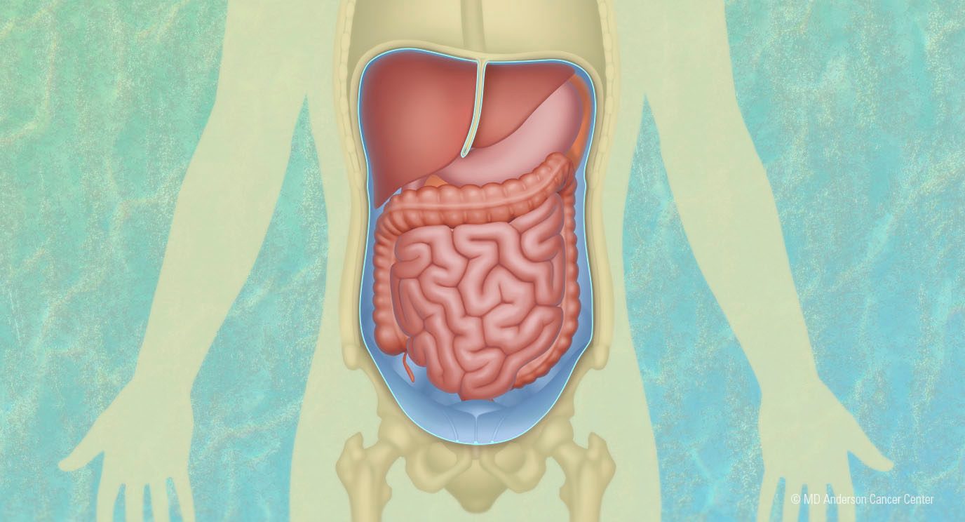 picture of a body showing internal organs where peritoneal mesothelioma occurs