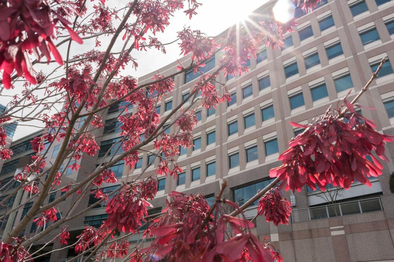 Cancerwise blog post: MD Anderson