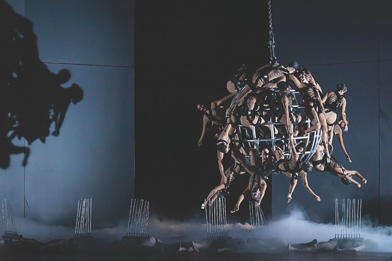 Read about how physician assistant Aki Ohinata became an aerial dancer