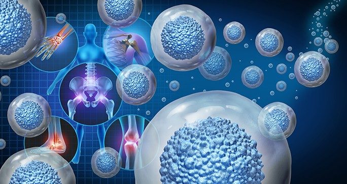 Stylized drawing of stem cells floating against a human anatomy backdrop