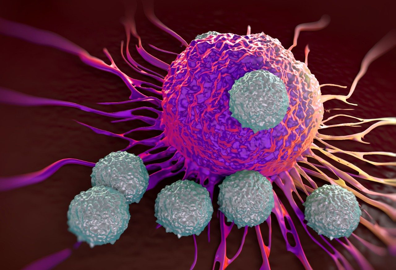 With the help of immunotherapy, T cells can fight cancer.