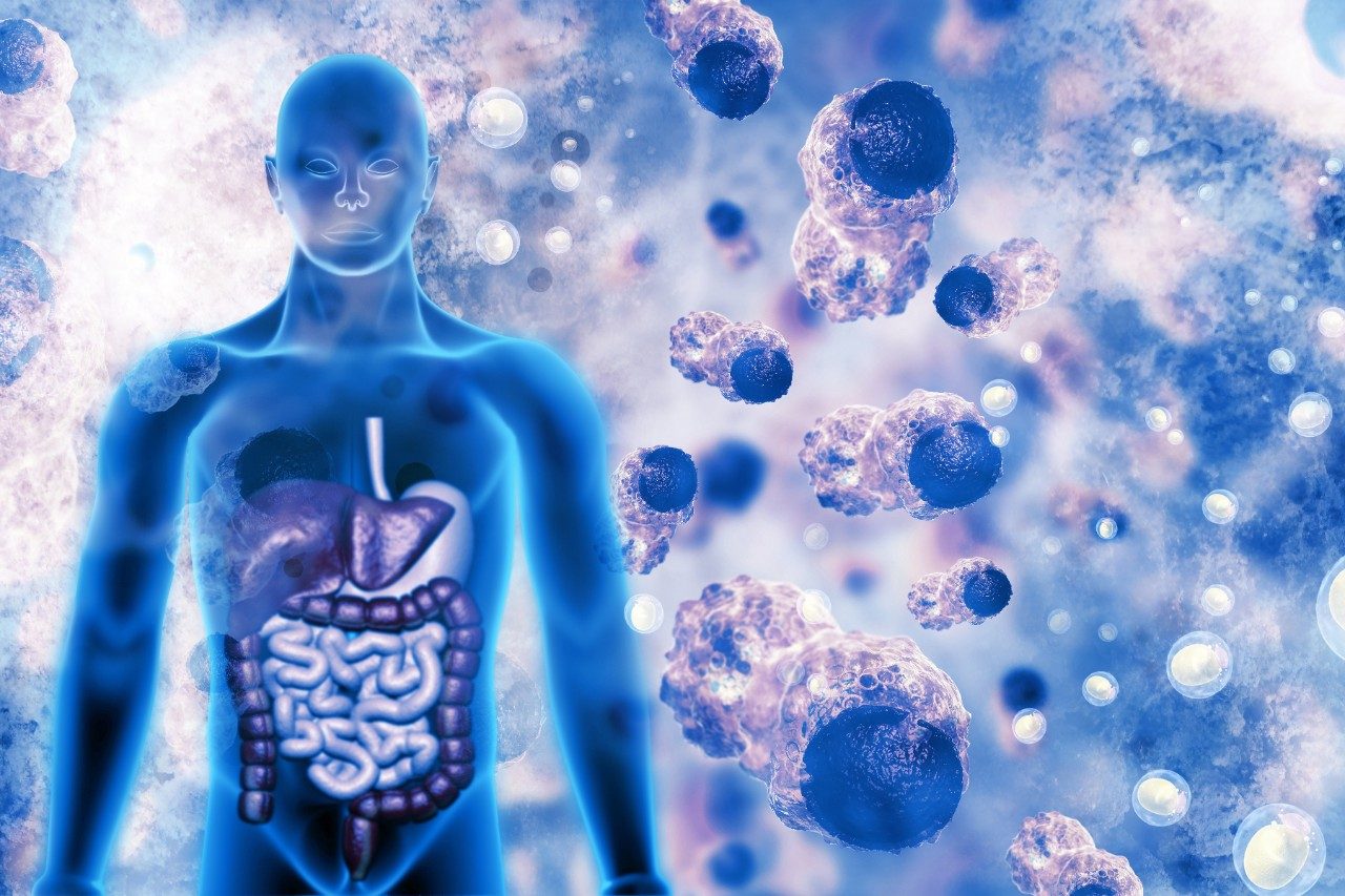 Inflammation involves cells from across the body heal an injury or fight infection.