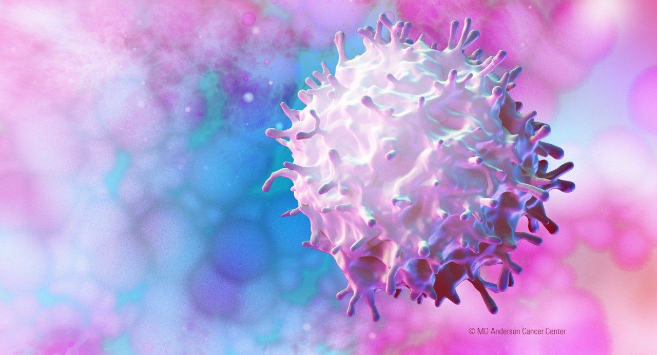 Image: Immunotherapy treating breast cancer