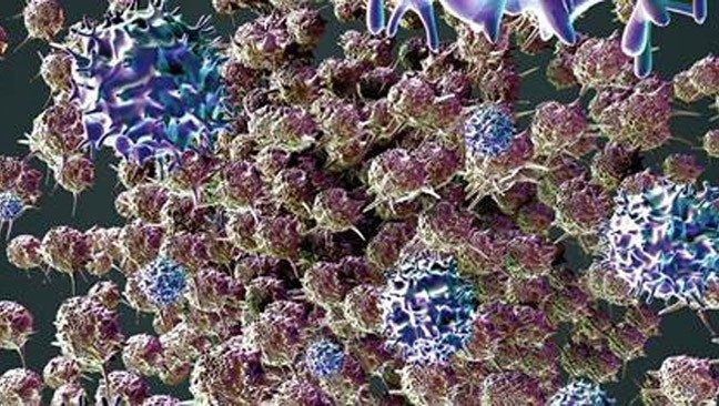 T cells attacking a tumor