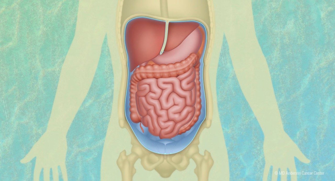 picture of a body showing internal organs where peritoneal mesothelioma occurs