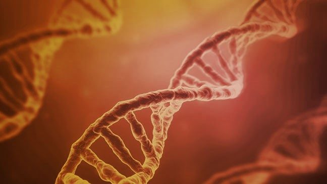 DNA strands on a brown background