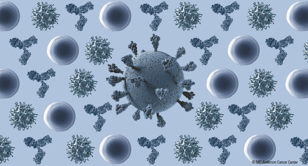 Artistic rendering of many COVID-19 variations
