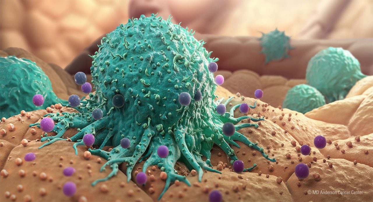 Teal round mass extends tentacles, attaching to a tan colored tissue. 