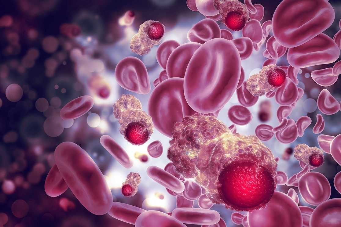 Illustration of plasma cells floating