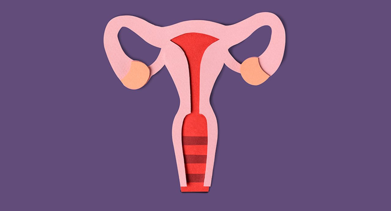 Stylized paper collage of female reproductive organs 