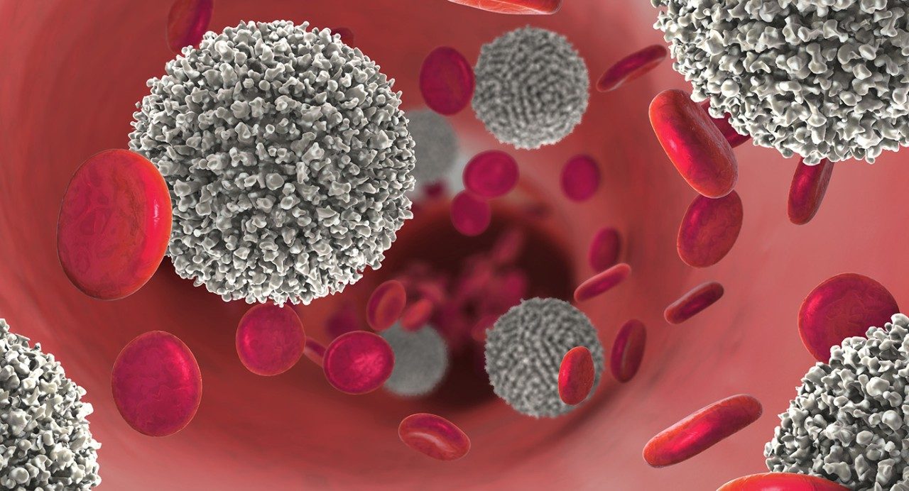 Medical illustration of healthy red platelets and cancerous white blood cells drifting along inside a pink-walled capillary