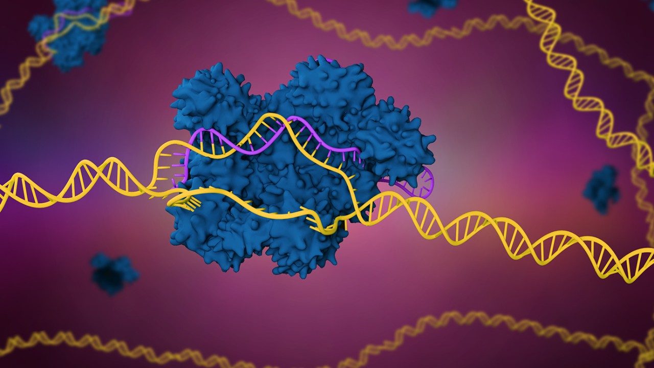 Illustration of a human DNA cell in a purple background