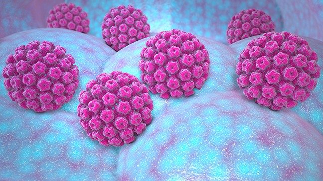 Medical illustration of bright pink HPV viruses on a hilly, mottled turquoise/magenta surface
