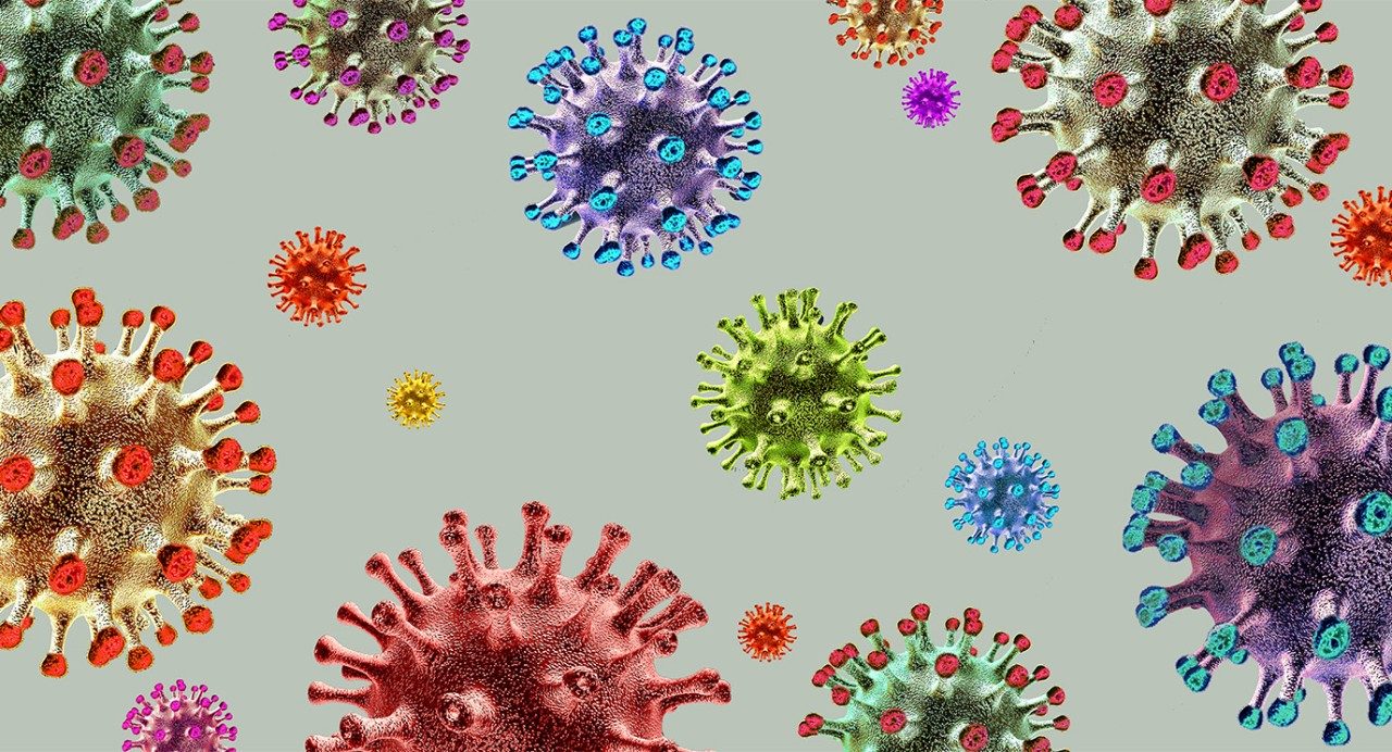 Graphic of 17 coronaviruses of varying size and color, against a gray background