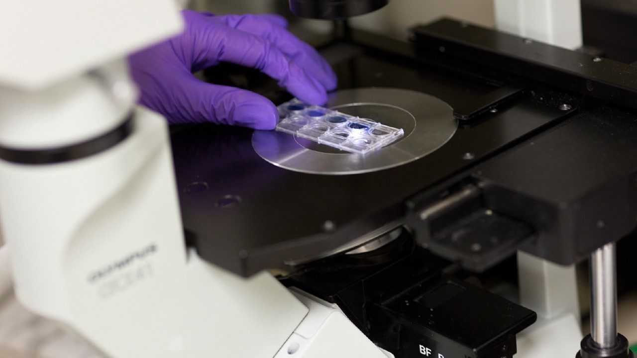 A purple-gloved hand places a slide on a microscope plate for examination.