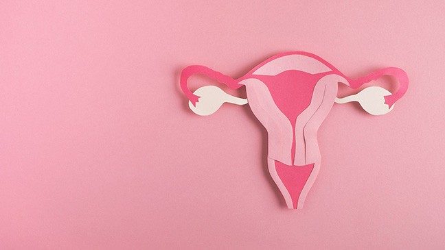 A pink uterus made of paper on a pink background.