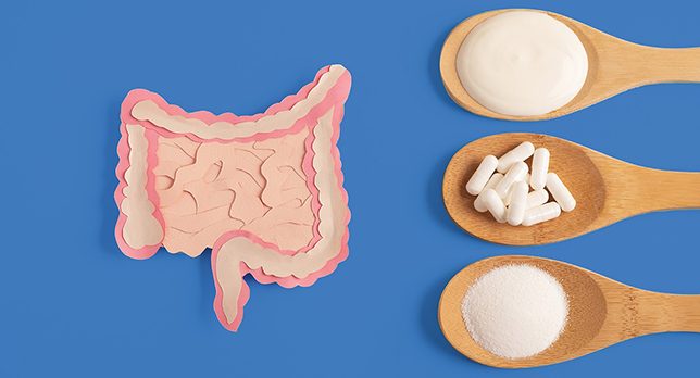 A pink paper cutout of the intestines sits next to three wooden spoons. The top spoon holds white yogurt, the middle spoon holds white pill capsules and the bottom spoon has white granules.