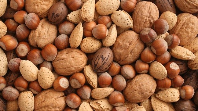 Close up of wide variety of nuts