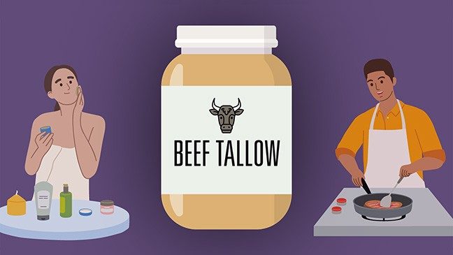 Graphic of a jar of yellow beef tallow. On the left, a woman uses moisturizer on her face. On the right, a man cooks meat on the stovetop.