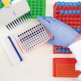 Leukemia research starts at the lab bench