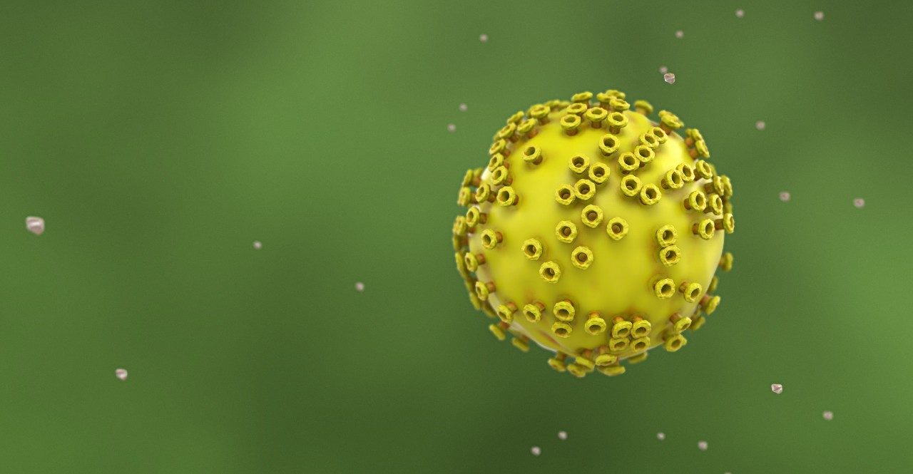 Cervical cancer research focuses on HPV prevention