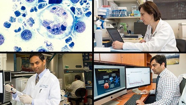 Clockwise from top right: Marina Konopleva, M.D., Ph.D., professor of Leukemia, Naval Daver, M.D., associate professor of Leukemia, and Sattvan Neelapu, M.D., professor of Lymphoma and Myeloma, were among MD Anderson faculty members whose research was presented at the recent ASH annual meeting.