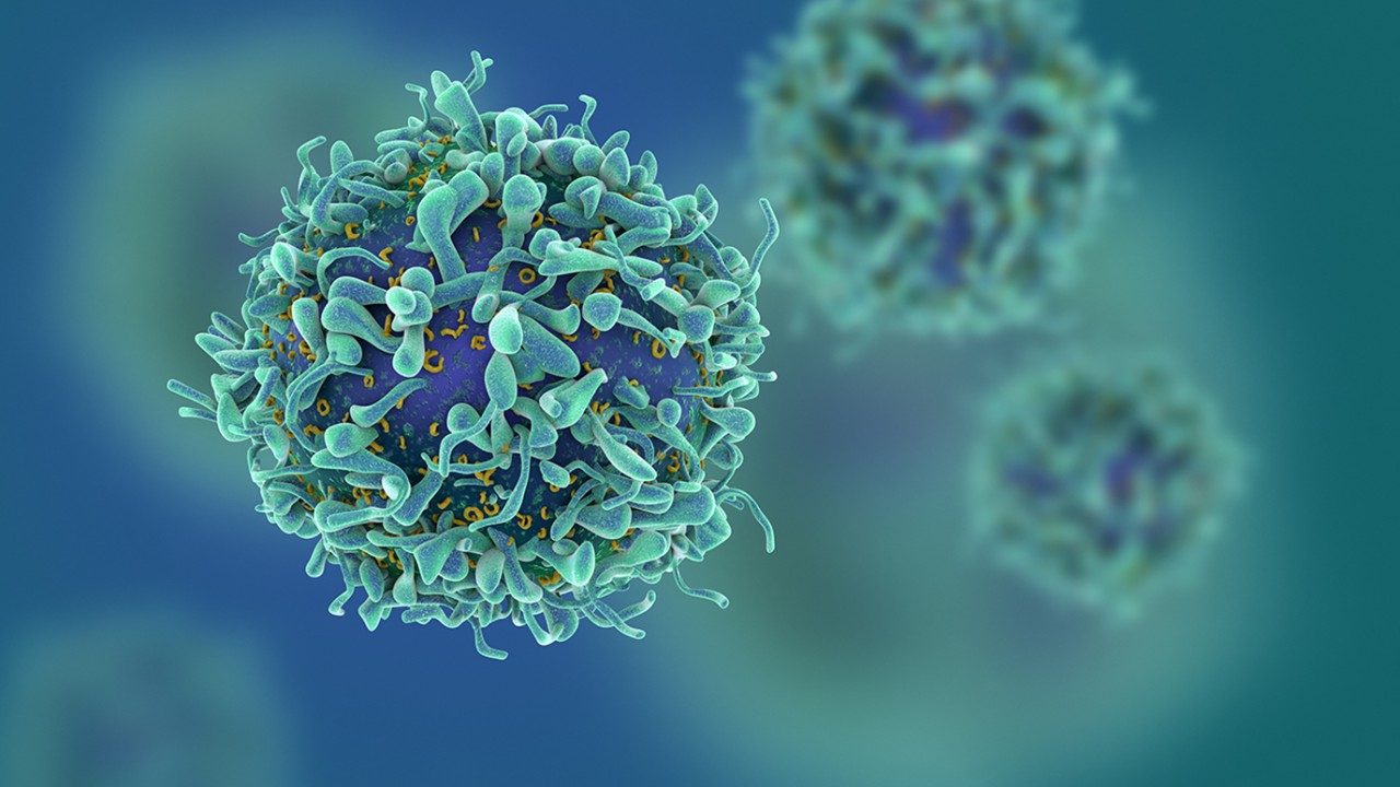 T cell image