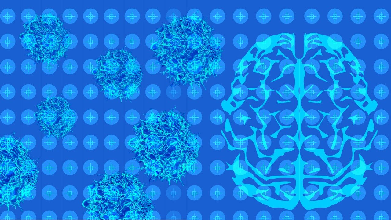 T cells and the brain