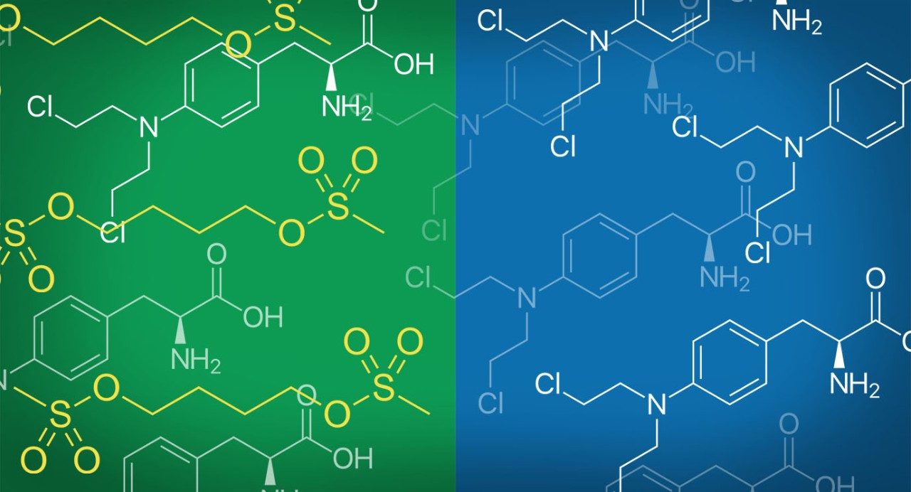 Busulfan and melphalan chemotherapy combination 