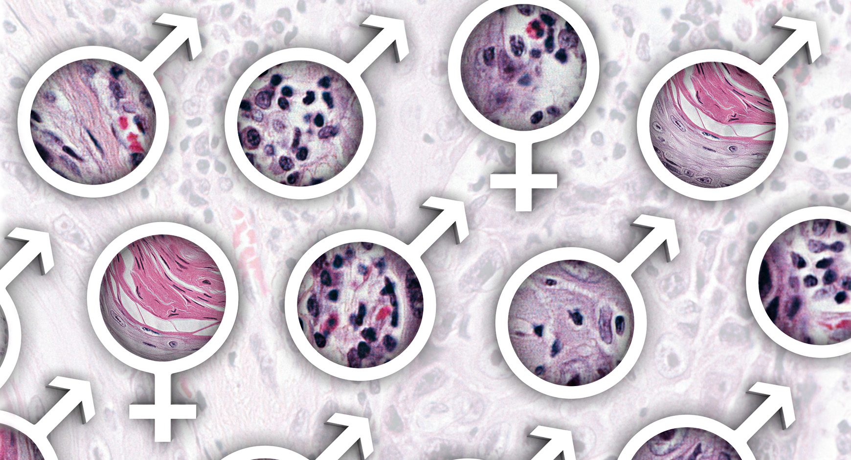 A study by MD Anderson researchers of 598 phase III clinical trials showed only 17.9% of lead investigators were women.