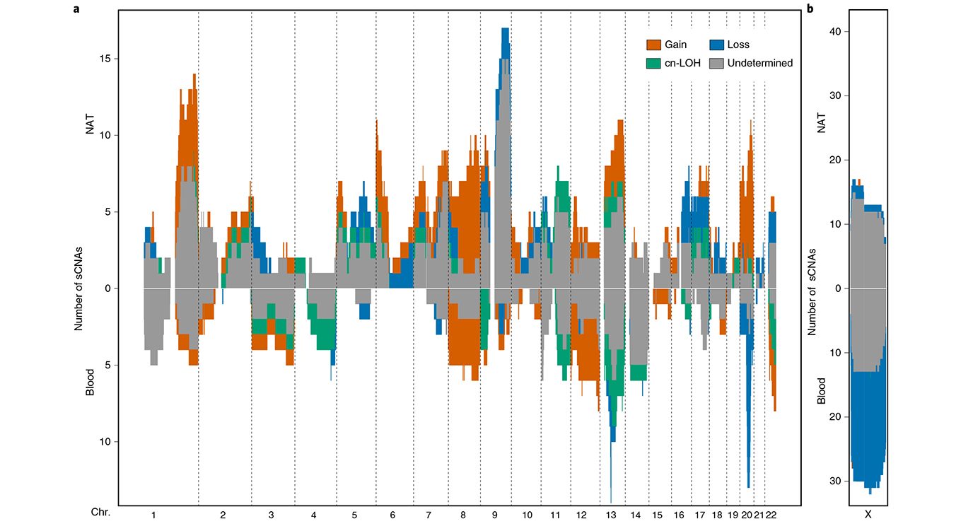 The distribution along the genome of chromosomal alterations, contrasting the profile of normal-appearing adjacent-to-tumor (NAT) tissues and blood. (Click on image to enlarge.)