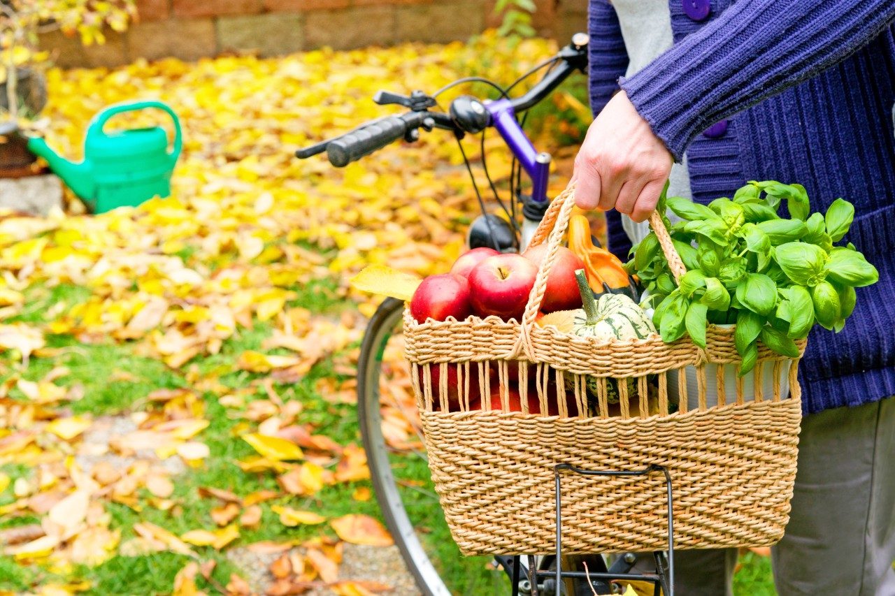 woman with bike and produce getting physical activity