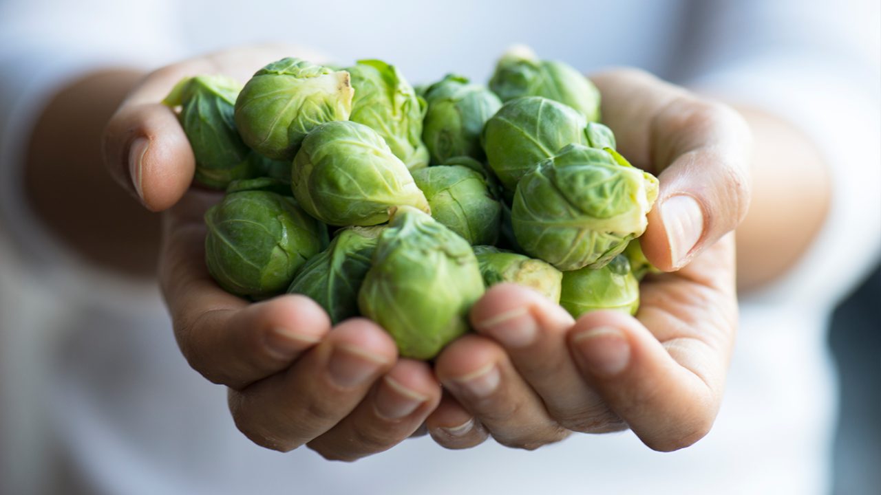 Person holds Brussels sprouts in their hand