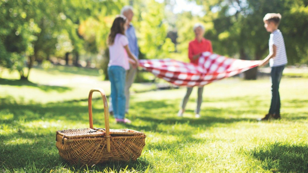 people having a picnic