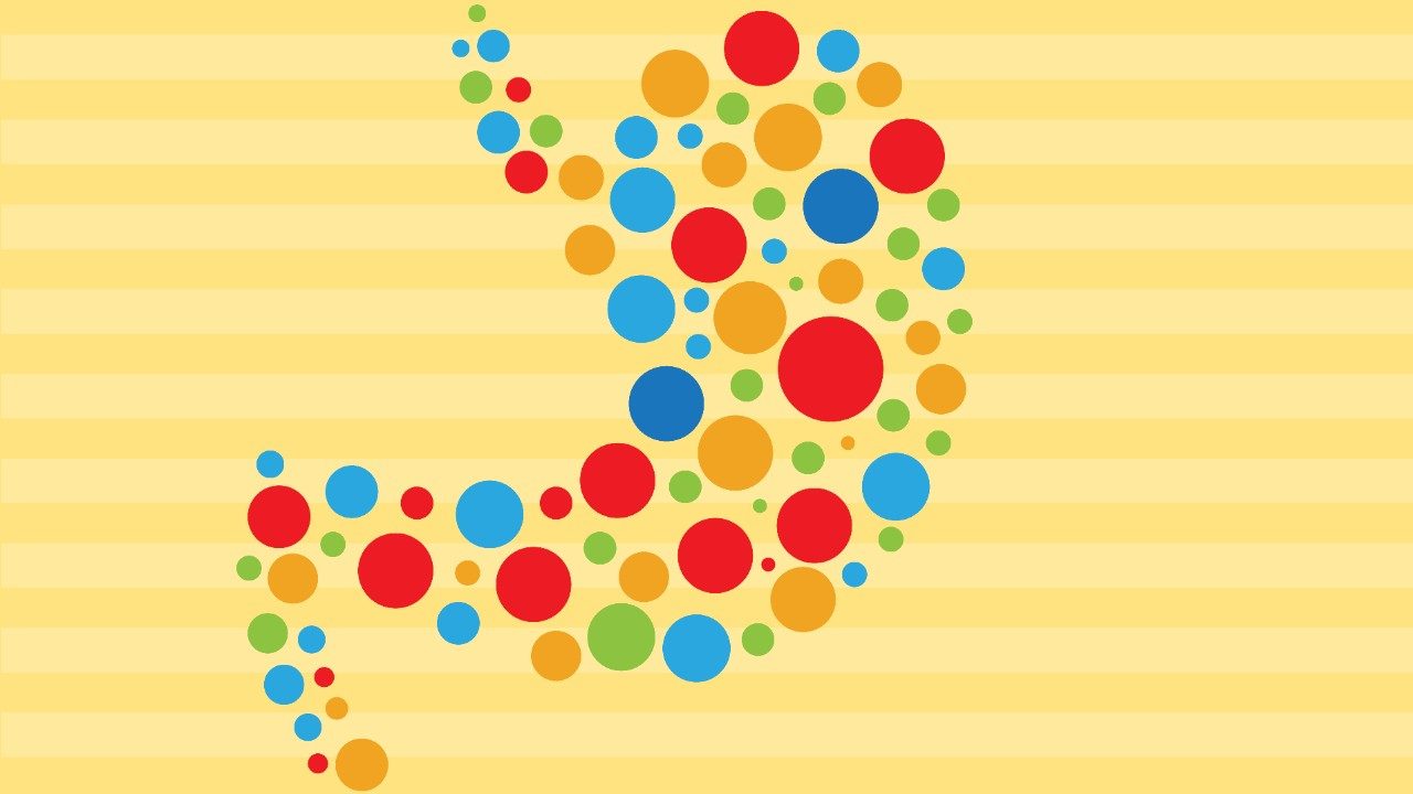 illustration of stomach with colorful circles