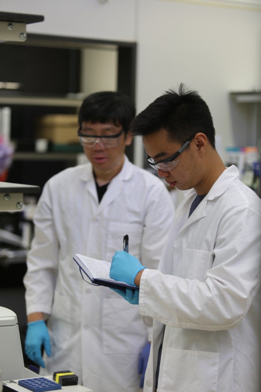 Dr. Donghang Cheng mentoring Michael Chen during the Summer Program in Cancer Research (SPCR).