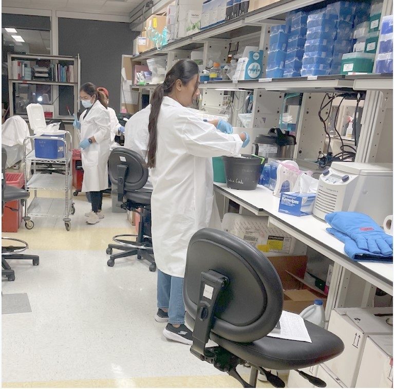 Several lab members, working at benches in the lab