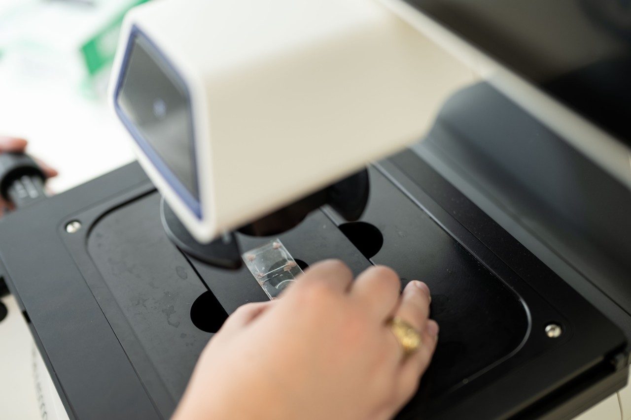 Close up picture of a hand working in the lab