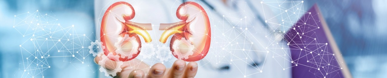 Section of Nephrology