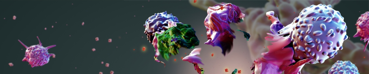 Stem Cell Transplantation & Cellular Therapy