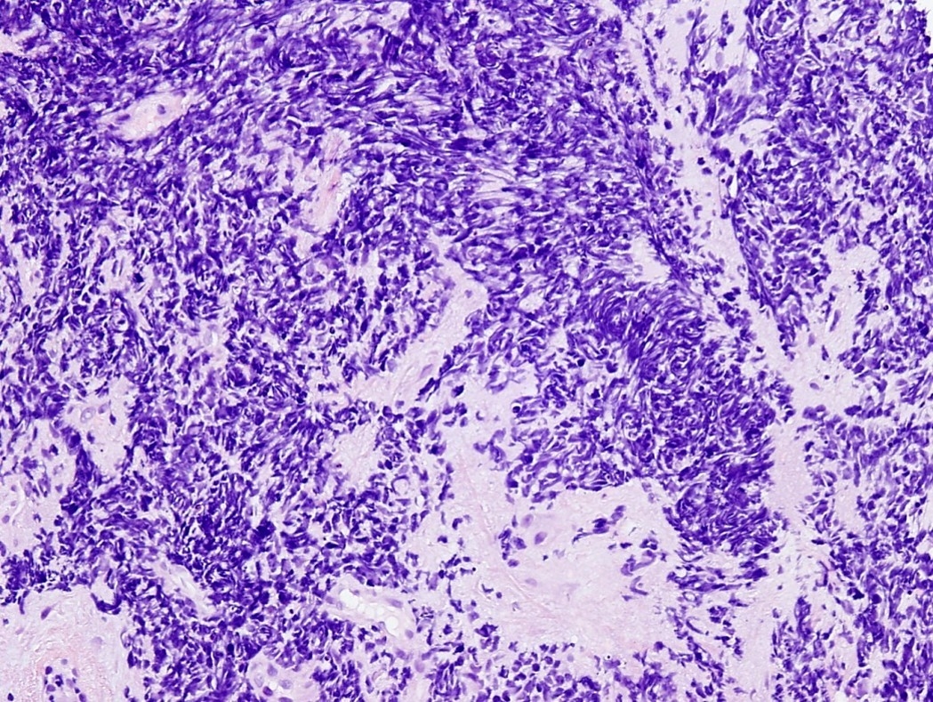 Byers Lab Image_ 3