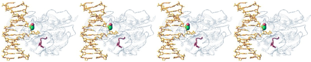 schematic of epigenetic modifications